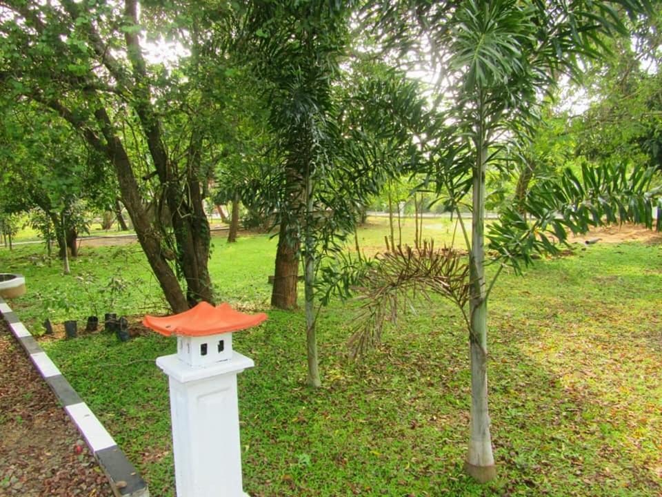 Hotel Tree Garden Wilpaththu Nochchiyagma Anuradhapura Nochchiyagama Exterior photo